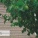 Сайдинг Ю-Пласт TIMBERBLOCK Пихта (Тимберблок) Cахалинская купить в Брянске