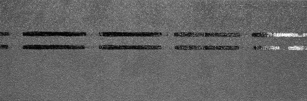 Коньково-карнизная черепица Docke Premium, черника купить в Брянске