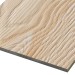 Фиброцементные панели FCSPRO Decor Wood Лиственница купить в Брянске