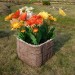 Цветник КАНЬОН купить в Брянске